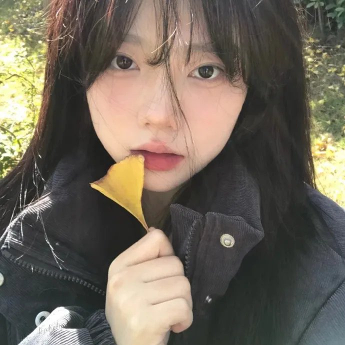 圣诞宅急便